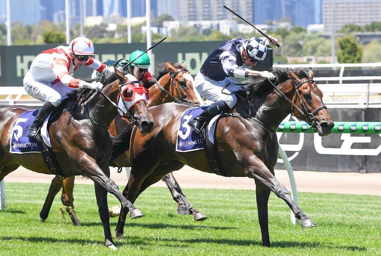 OUR CHIEF RELISHES BACK-UP